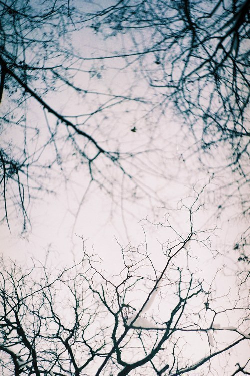 tumblr - 1  2014  10:13
