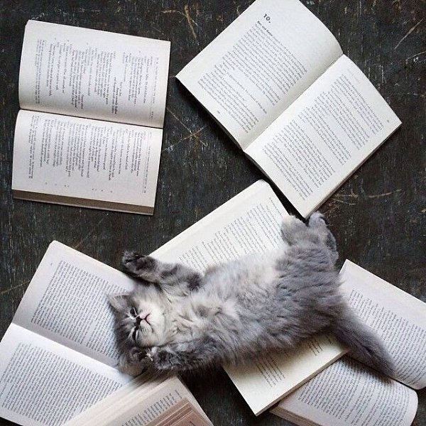 tumblr - 2  2014  09:56