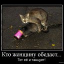 ���� ����, �����-��������� - ��������� 9 �������� 2014 � ������ ���������