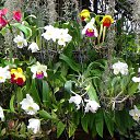 ������������ �������!!! �� ������� �������� � ������ � ������� 2014.�