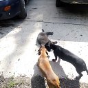 ��� ����� � ��������. �� ������� ����� �� � ���.�