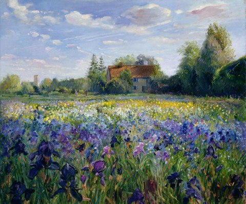  Timothy Easton - 9