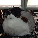 ���� �������, �����-��������� - ��������� 11 ������� 2014 � ������ ���� ����������