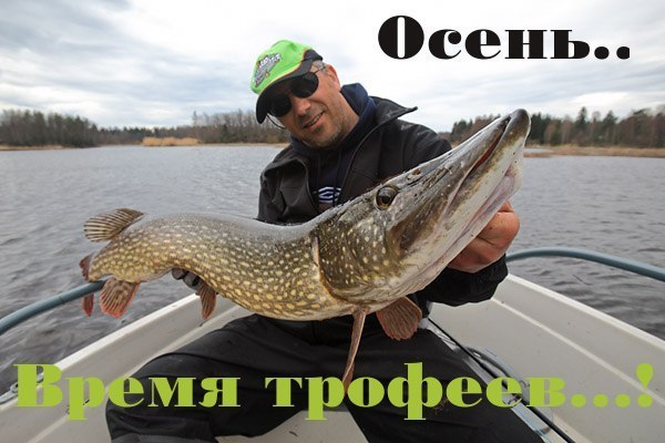 ����� ������� - 11 ������ 2014 � 10:33