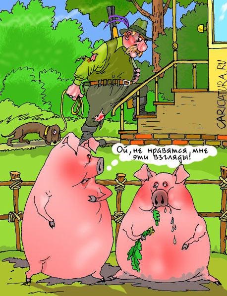 ��Z����! - 11 ������� 2014 � 08:57