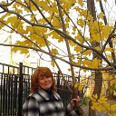 ���� �����, �����-���������, 62 ���� - ��������� 29 �������� 2014 � ������ ���� ����������