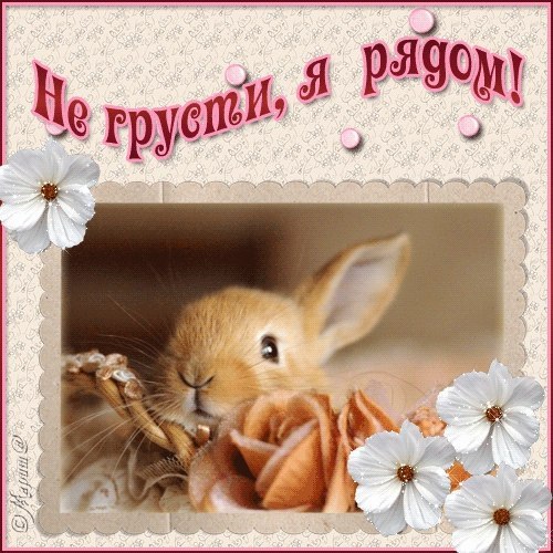 Andrei - 5  2014  23:36