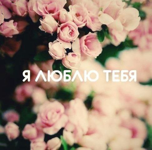   ,   -     .      ...