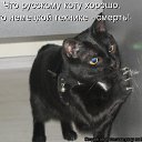 ���� ������, ����, 58 ��� - ��������� 23 ������ 2014 � ������ ������ ��������