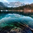 ���� �����, ������ ��������, 40 ��� - ��������� 2 �������� 2014 � ������ ���� ����������