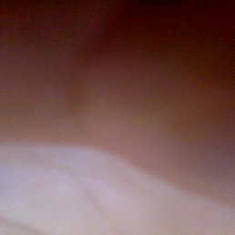 ���� �������, ������ ����� - ��������� 17 ������� 2014