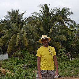 ������, ���������