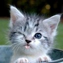 ���� �����, ���, 62 ���� - ��������� 10 ������� 2014 � ������ ���� ����������