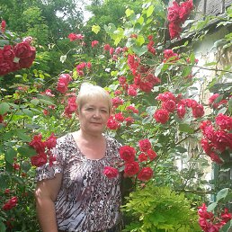 ���� �����, �����, 63 ���� - ��������� 27 ������� 2014