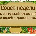 ���� ������ �-180��, ���������, 44 ���� - ��������� 20 ������ 2014 � ������ ��������