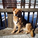 ���� �����, ���, 45 ��� - ��������� 14 ������ 2014 � ������ ������ ������