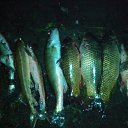 ���� ��������, ���, 51 ��� - ��������� 11 ������� 2014 � ������ ������ ������