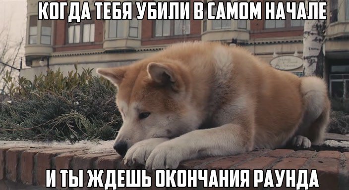 IGM - 11  2015  06:07