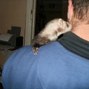 ���� ������, ������ ���, 46 ��� - ��������� 14 ������� 2014 � ������ ������