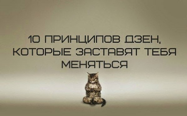 10 принципов Дзен, которые заставят тебя меняться.1. Если ты любишь человека, ты не будешь ...