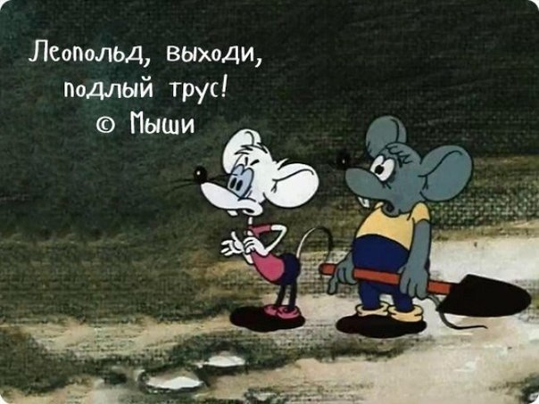    .        - 6