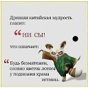 ���� ���������, ����� - ��������� 15 ������ 2015 � ������ ������ ��������