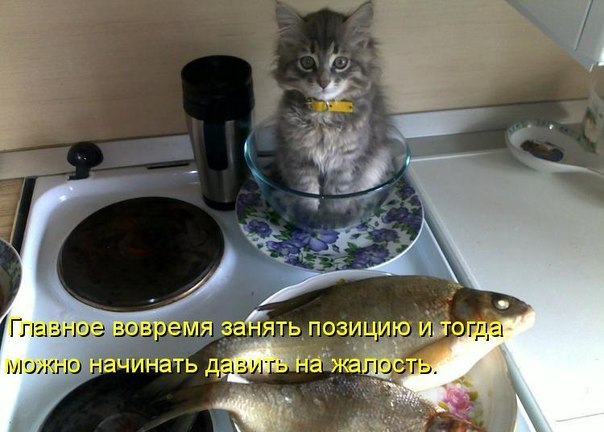       - 10  2015  22:04