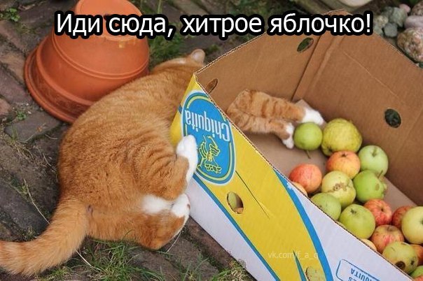  https://fotostrana.ru/away?to=/sl/KE2