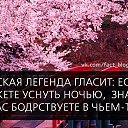 ���� ���������, �����������, 49 ��� - ��������� 23 ����� 2015 � ������ ������ ��������