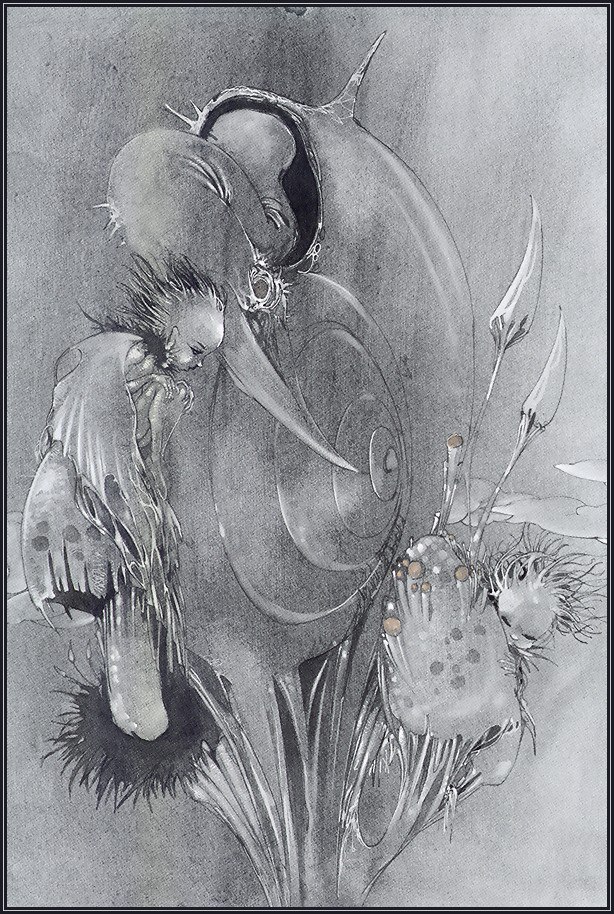 Yoshitaka Amano - 36