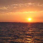 ����, 63 ����, ������-��-����