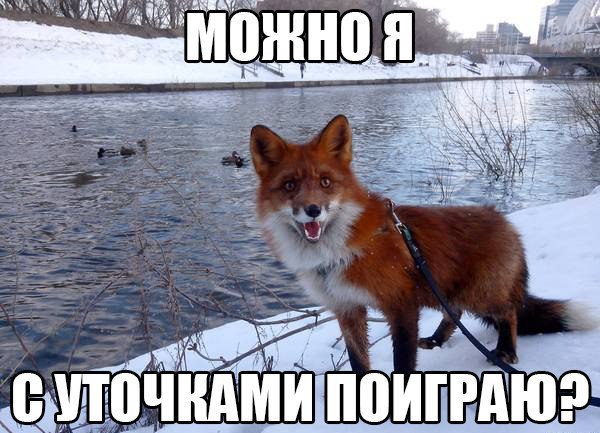   https://fotostrana.ru/away?to=/sl/KE2