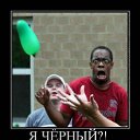 ���� ����, �����, 36 ��� - ��������� 6 ����� 2015 � ������ ���� ����������