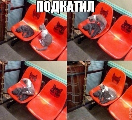   - 18  2014  08:42