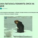 ���� ��������, ����, 38 ��� - ��������� 28 ������ 2015 � ������ ���� ����������