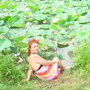 ���� ������, ����������� - ��������� 14 ������� 2014 � ������ ���� ����������