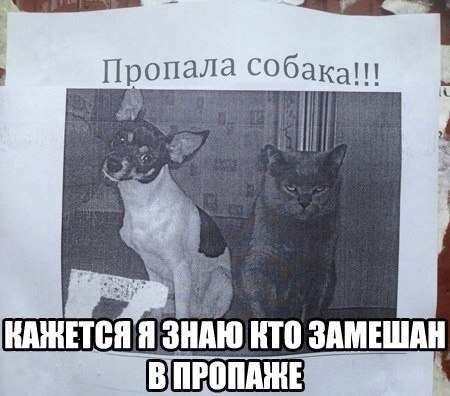    :-) - 12  2015  19:40