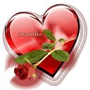 ���� ������, �������� - ��������� 6 ������ 2015 � ������ ������ ��������