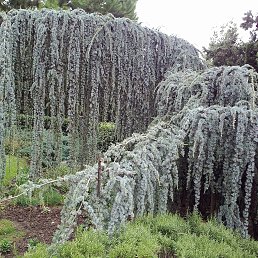 ���� Natali, ����, 56 ��� - ��������� 28 ������ 2015