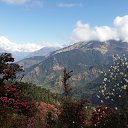 ���� �������, ������, 46 ��� - ��������� 11 ������ 2015 � ������ ������