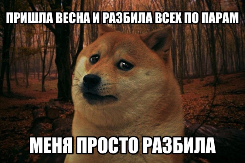    :-) - 21  2015  04:40