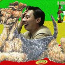 ���� �����, �����-���������, 55 ��� - ��������� 28 ������ 2015 � ������ ���� ����������