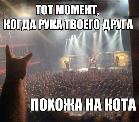       ! <a href=