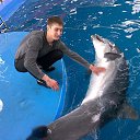 ���� Diman, ���������, 38 ��� - ��������� 22 ������� 2015 � ������ ���� ����������