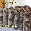 ���� ������, ����������� - ��������� 8 ������ 2015 � ������ ������ ��������