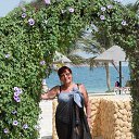  ˸, , 70  -  30  2015    