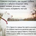 ���� ���, ���������, 45 ��� - ��������� 15 ������� 2015 � ������ ������ ��������