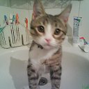 ���� ����������, ���������, 48 ��� - ��������� 31 ������ 2015 � ������ ���� ����������