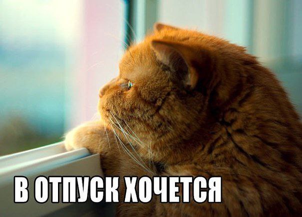 Vistalka - 8  2015  18:57