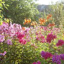 ���� ������� - �� ��������!, �������� - ��������� 19 ������ 2015 � ������ �����������